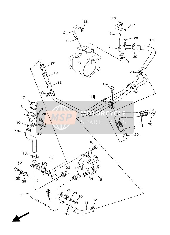 Radiator & Hose